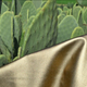 cactus based plant leather